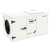 Осушители воздуха Dantherm CDP